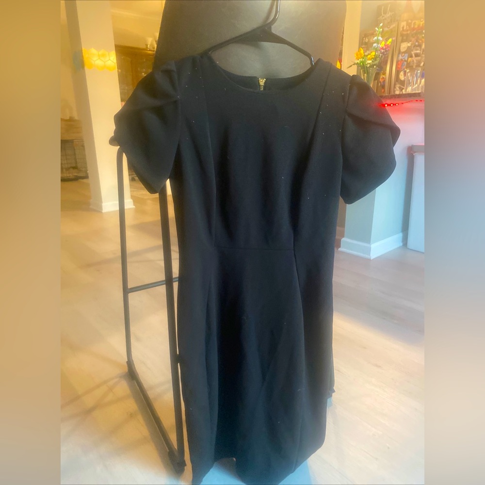 Calvin Klein Women’s Black Dress Formal For Funerals Size 6P